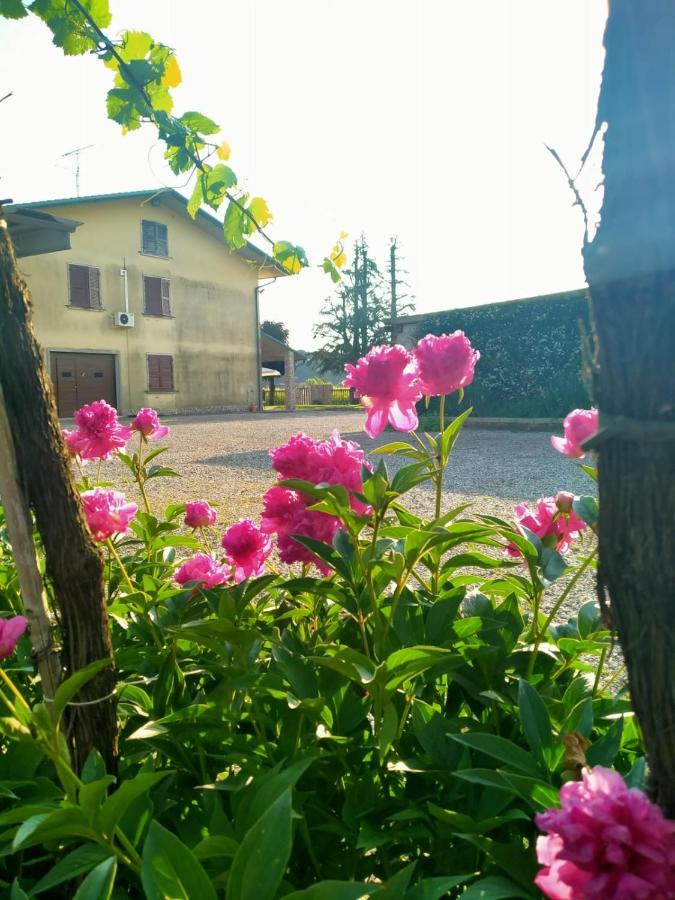 Corte Ohana Monteforte dʼAlpone المظهر الخارجي الصورة