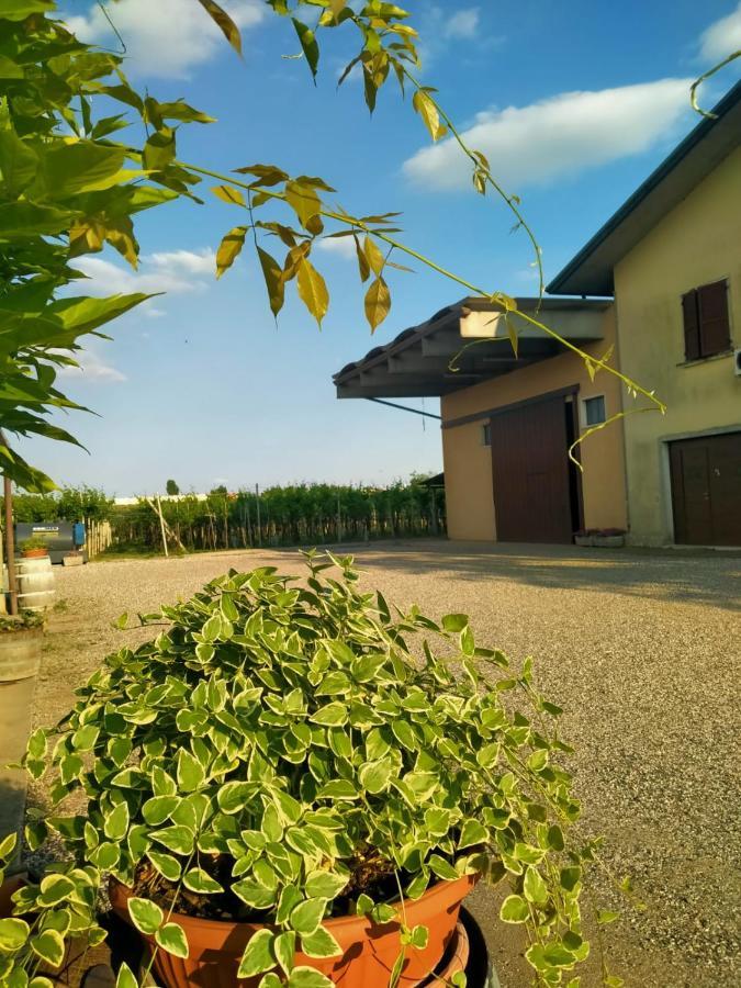 Corte Ohana Monteforte dʼAlpone المظهر الخارجي الصورة
