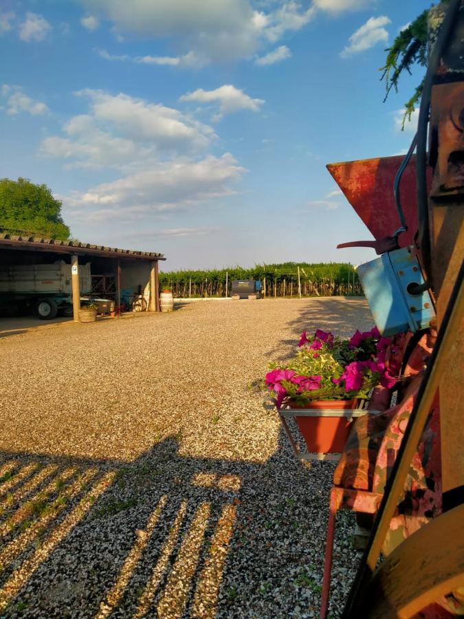 Corte Ohana Monteforte dʼAlpone المظهر الخارجي الصورة
