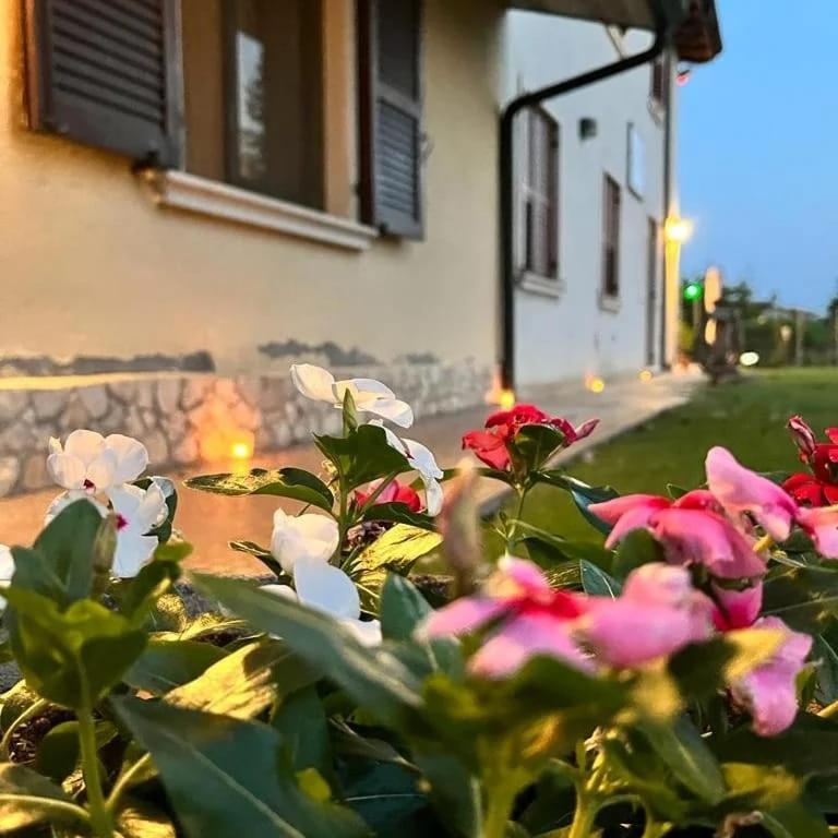 Corte Ohana Monteforte dʼAlpone المظهر الخارجي الصورة