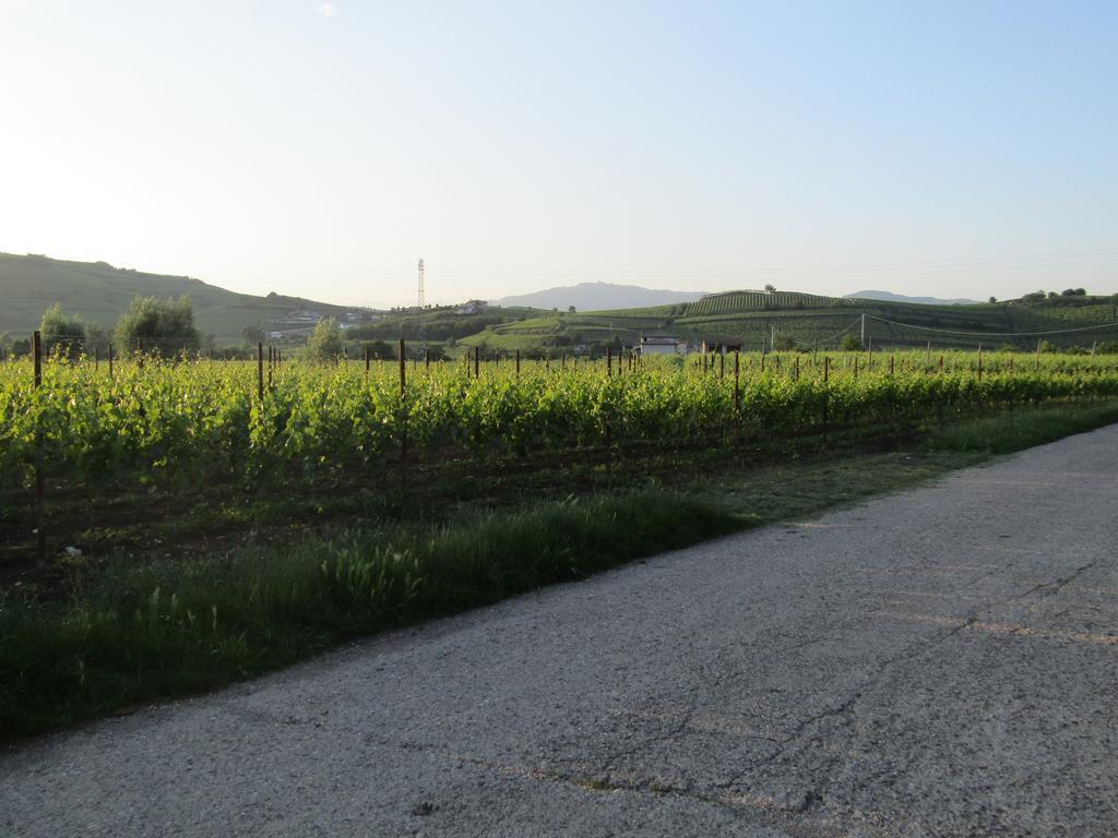 Corte Ohana Monteforte dʼAlpone المظهر الخارجي الصورة